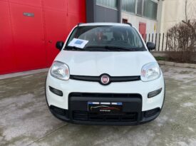 FIAT PANDA 1.0 FireFly 70cv S&S Hybrid City Life