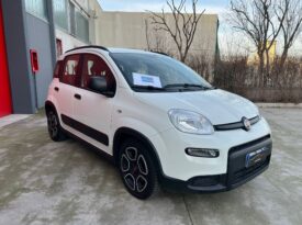 FIAT PANDA 1.0 FireFly 70cv S&S Hybrid City Life
