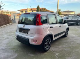 FIAT PANDA 1.0 FireFly 70cv S&S Hybrid City Life
