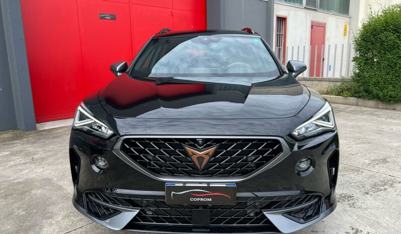 CUPRA FORMENTOR 2.0 TDI DSG 4DRIVE pieno