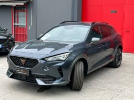 CUPRA FORMENTOR 2.0 TDI DSG 4DRIVE