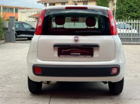 FIAT PANDA 1.2 70 CV 2020